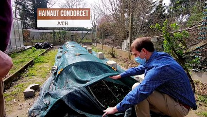 CDLP Culture des morilles avec Condorcet