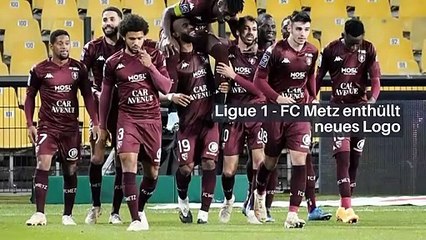 OL: Ein ausländischer Trainer auf der Bank?_IN