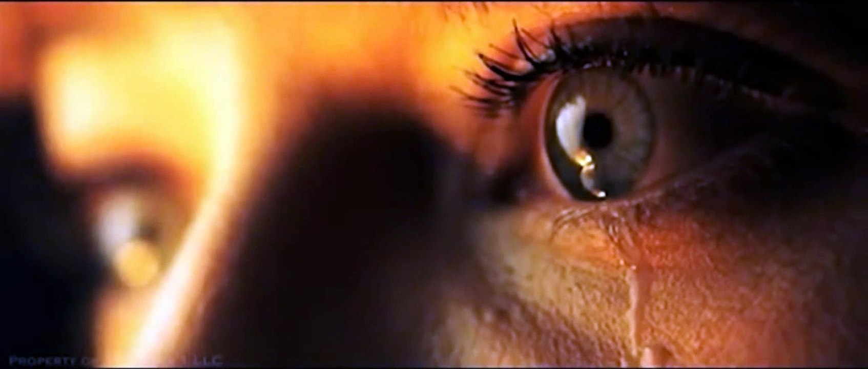 The Divide (Trailer HD)