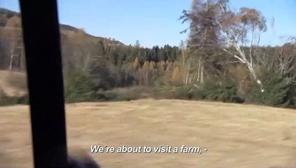 Troll Hunter (Trailer HD)