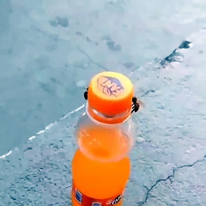 Sadece 10 saniyenizi ayırıp, mucizeye tanıklık edin