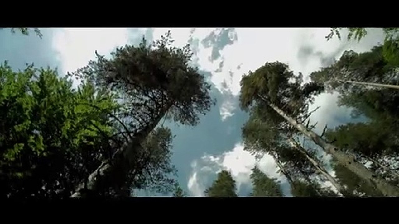 The Daughter (Trailer HD)