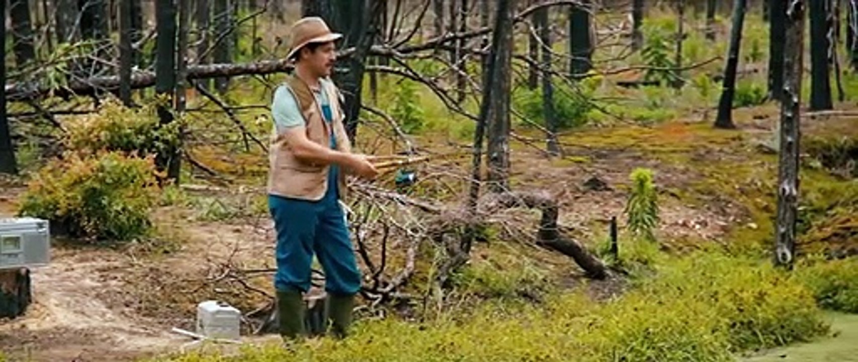 Prince Avalanche (Trailer HD)