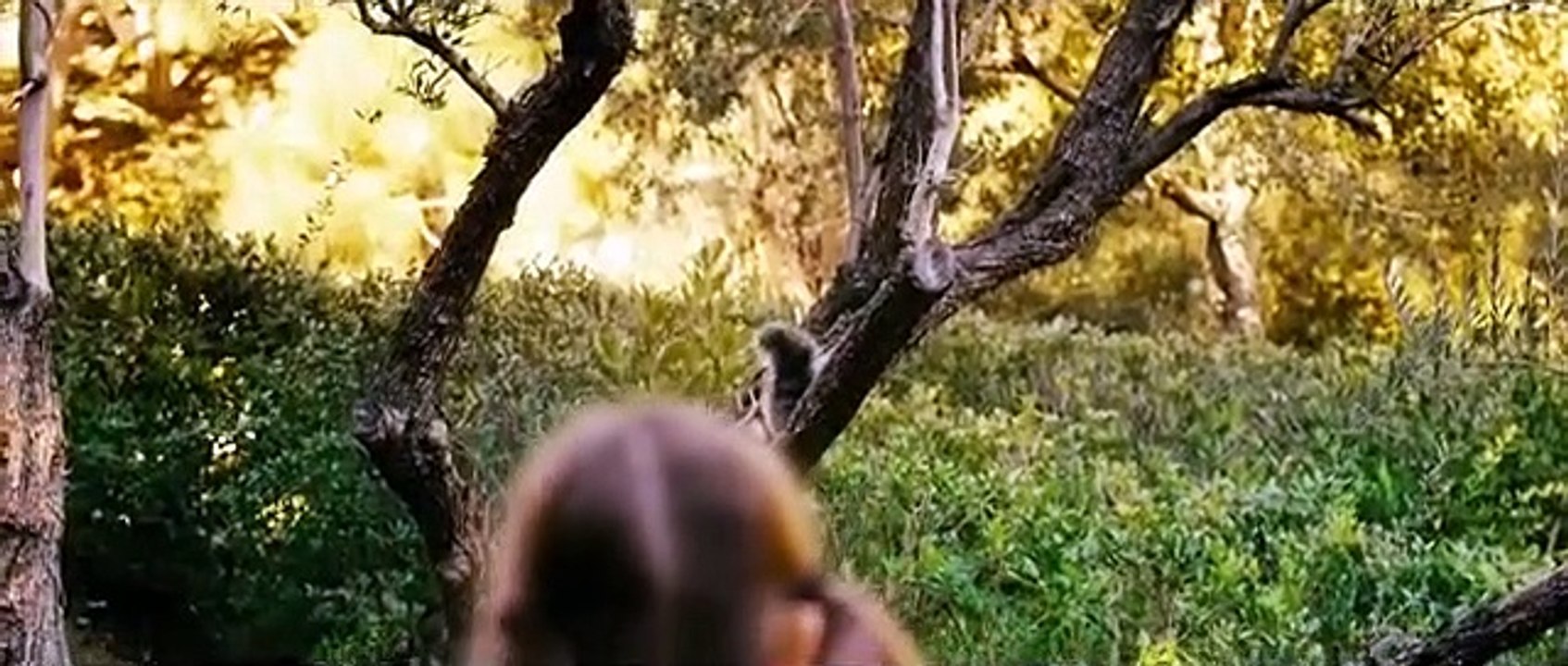 Squirrels (Trailer HD)