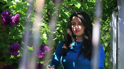 the Sheffield Weekend - Saturday May 29th 2021