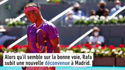 Nadal peut-il être inquiété ? - Tennis - Roland-Garros