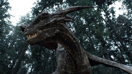 Dragonheart 3: La Maledizione dello Stregone (Trailer HD)