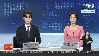 "문대통령 지지율 3%p 오른 37%…방미 영향"
