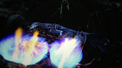 The Black Fables (Trailer HD)