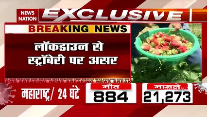 Jammu kashmir: श्रीनगर में स्ट्रॉबेरी की फसल हुई बर्बाद, देखें रिपोर्ट