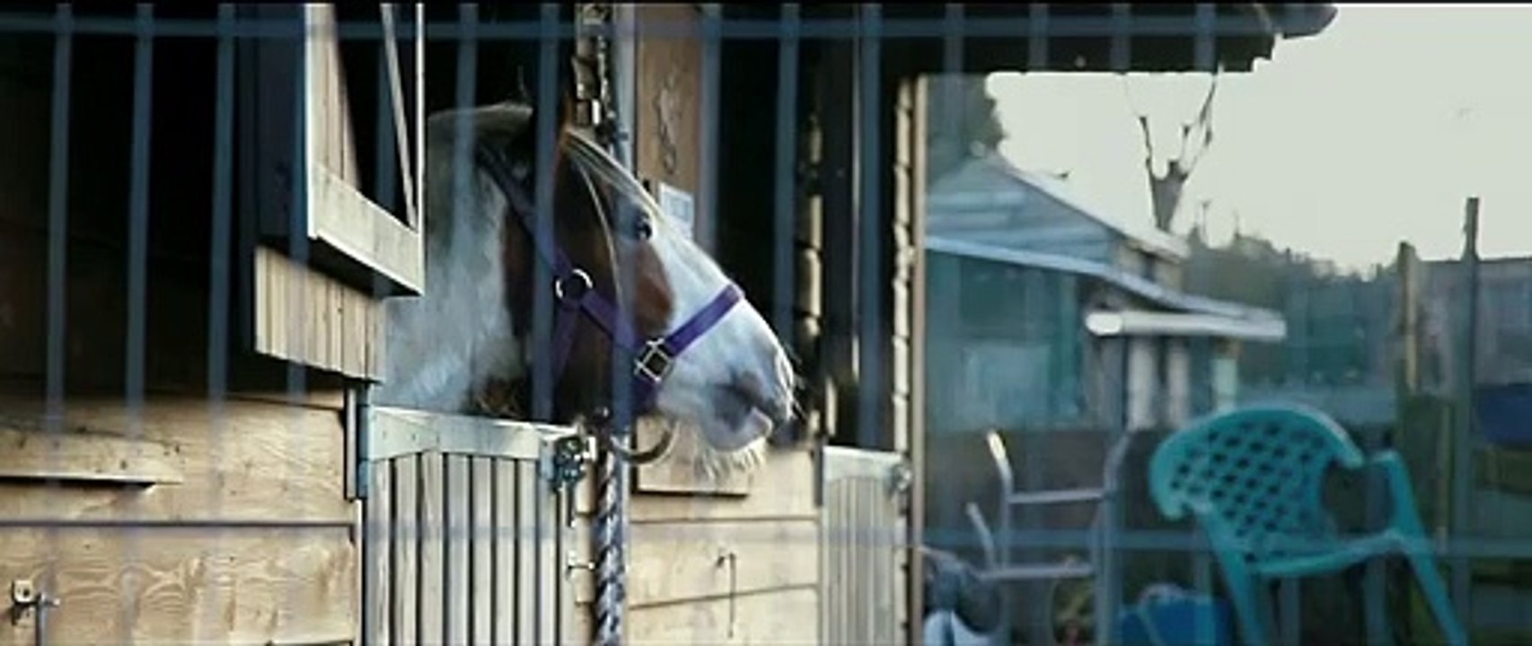 Dark Horse (Trailer HD)