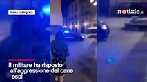Milano, sparatoria alle Colonne di San Lorenzo: pitbull aggredisce un carabiniere