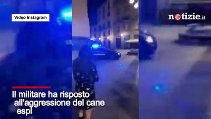 Milano, sparatoria alle Colonne di San Lorenzo: pitbull aggredisce un carabiniere