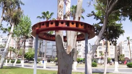 Büyükşehir Belediyesince sahilde 48 odalı "kuş evi" yapıldı