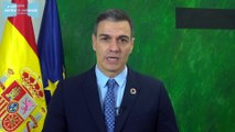 Pedro Sánchez junto a numerosos rostros políticos apoyan la VIII Carrera contra la Violencia de Género