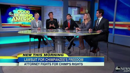 Unlocking the Cage (Trailer HD)