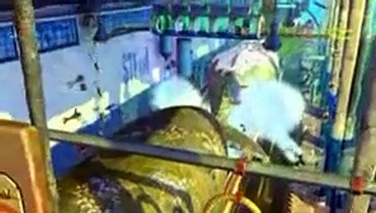 Shark Tale (Trailer HD)