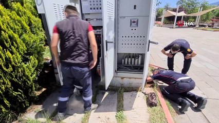 Trafoya giren yavru kedi için ekipler seferber oldu