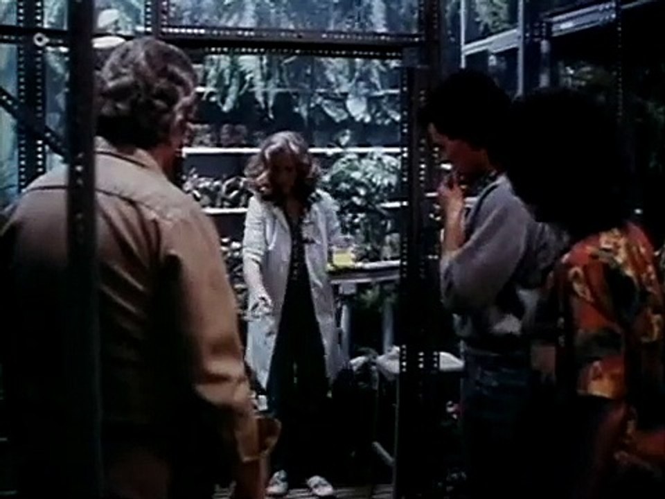 Il mostro della palude (Trailer HD)