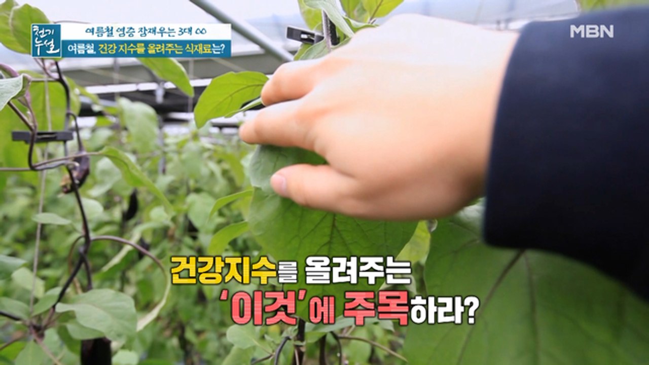 여름철, 건강 지수 올려주는 '이것'에 주목하라?