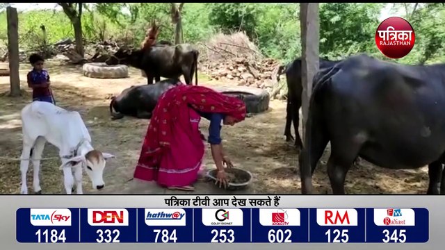 प्रगतिशील पशुपालकों को मिलेगा सम्मान