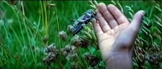 Antwone Fisher (Trailer HD)