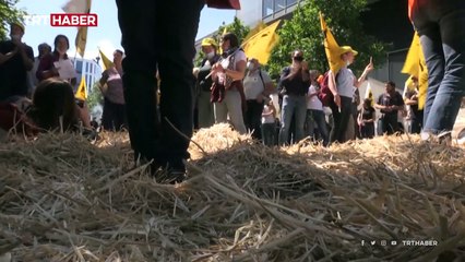 Fransa polisinden siyasetçilere sert müdahale