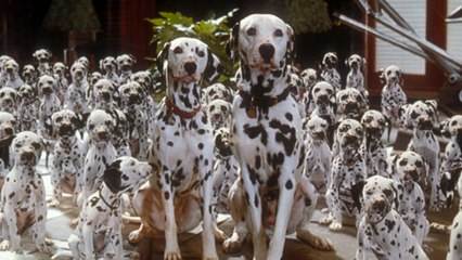 La carica dei 101 (Trailer HD)