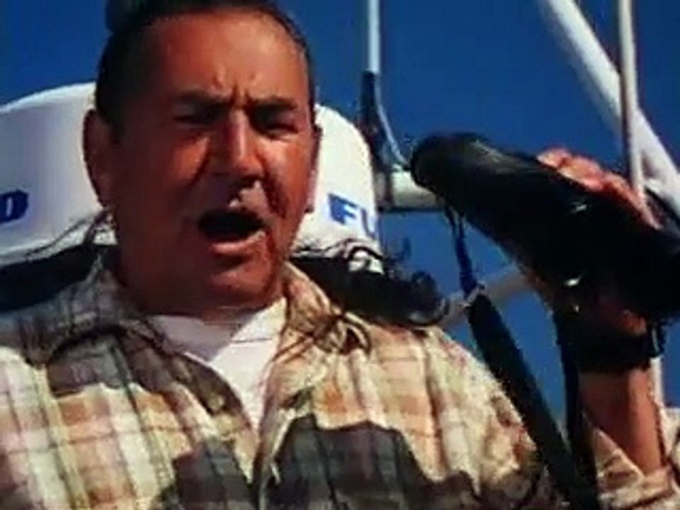 Free Willy 2 (Trailer HD)