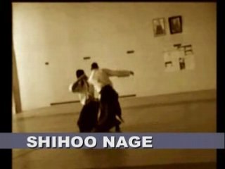 Aikido techniques en Hammi Hantachi Waza