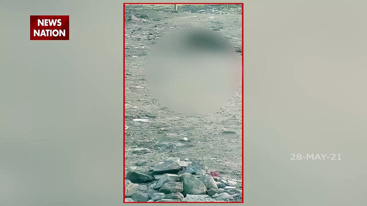 Bhopal: Pigs seen eating body of a missing person in Kolar region