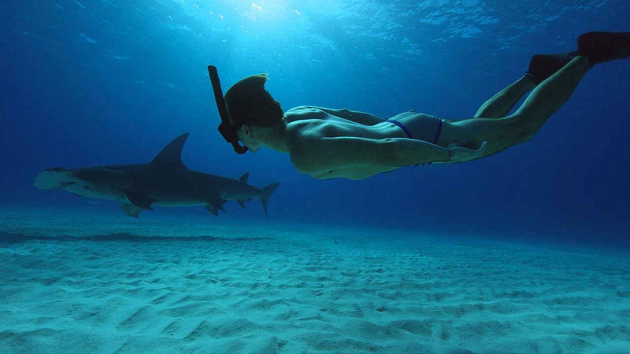 Sharkwater Extinction (Trailer HD)