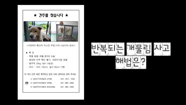 [영상] 반복되는 개물림 사고...해법은? / YTN