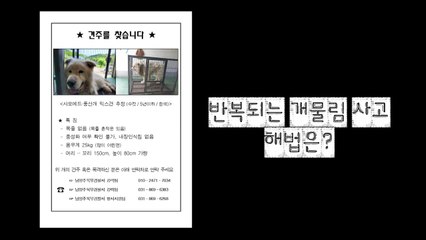 [영상] 반복되는 개물림 사고...해법은? / YTN