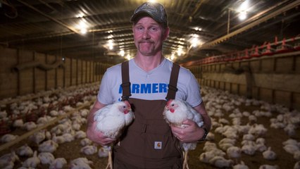 Super Size me 2: Holy Chicken! (Trailer HD)