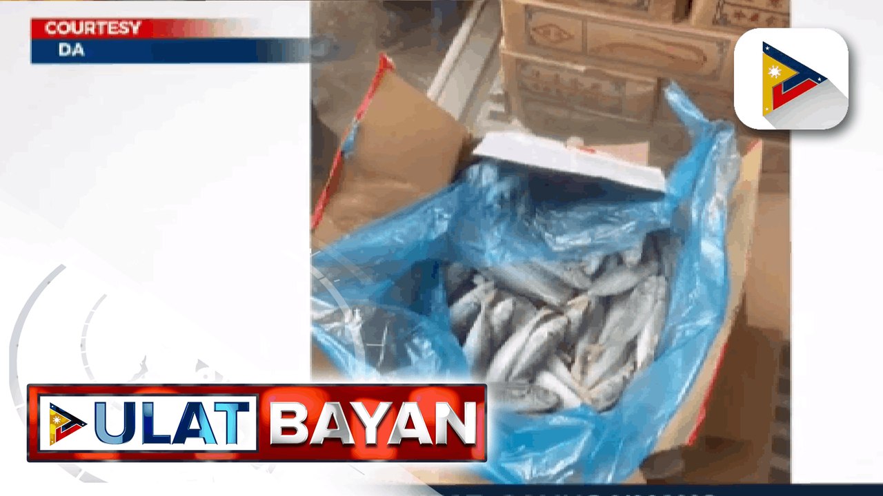 3 drug suspects na konektado umano sa babaeng nanakit ng traffic enforcer, arestado