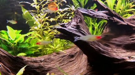 مقطع عن الامراض وفساد الضمائر ومس الشيطان علاجها القرآن والتسبيح وذكر الله