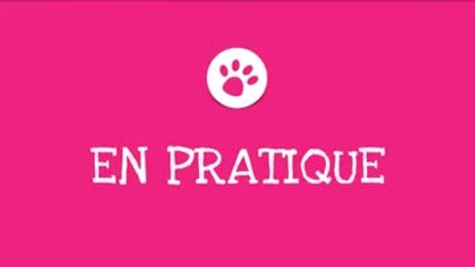 Comment nettoyer les yeux de votre chat