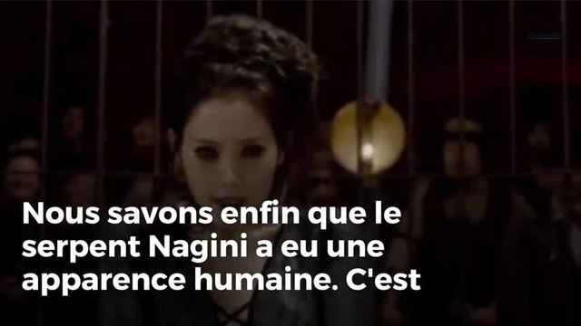 5 infos sur le film pour briller en société sur le film Les Animaux Fantastiques 2