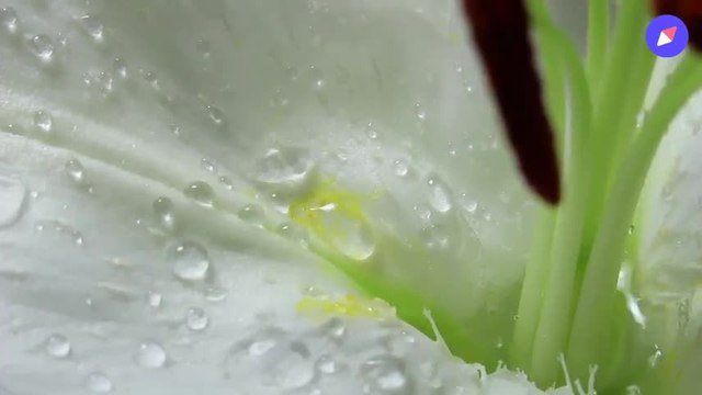 Méditation du matin – Affirmations positives (15 min)