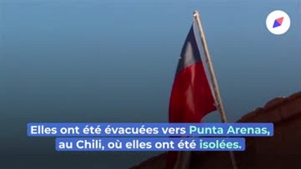 L'Antarctique a signalé ses premiers cas de COVID-19