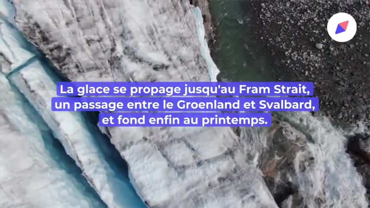 regel glace