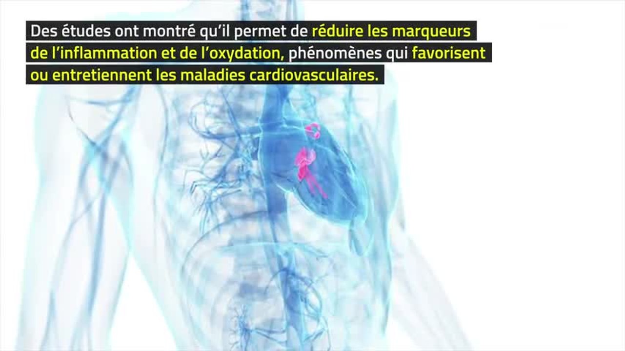 Régime Paleo