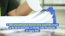 Loi bioéthique : l’ouverture de la PMA à toutes les femmes votée