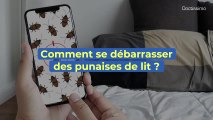 Comment savoir si j'ai des punaises de lit