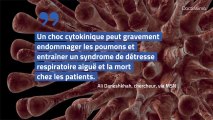 Les niveaux de vitamine D pourraient avoir un impact sur les taux de mortalité liés au COV