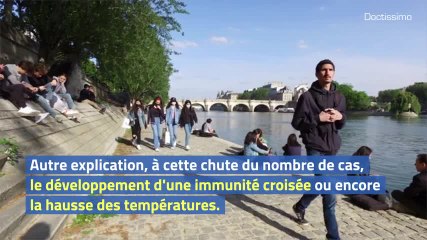 Les causes de l’essoufflement de l'épidémie de Covid-19