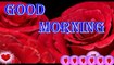 Good morning wishes | morning love status | morning love greetings | morning love messages | love videos | love songs | love wishes