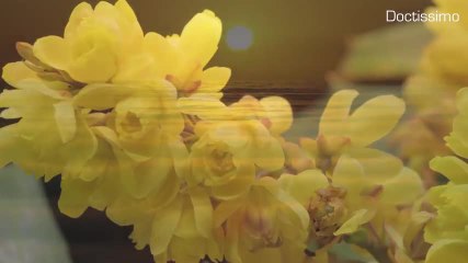 Méditation coeur NEW