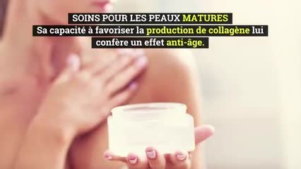 Ingrédients cosmétiques - La gelée royale